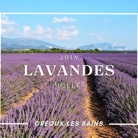 Oasis Tranquille - L'Evasion Au Verdon Gréoux-les-Bains Εξωτερικό φωτογραφία