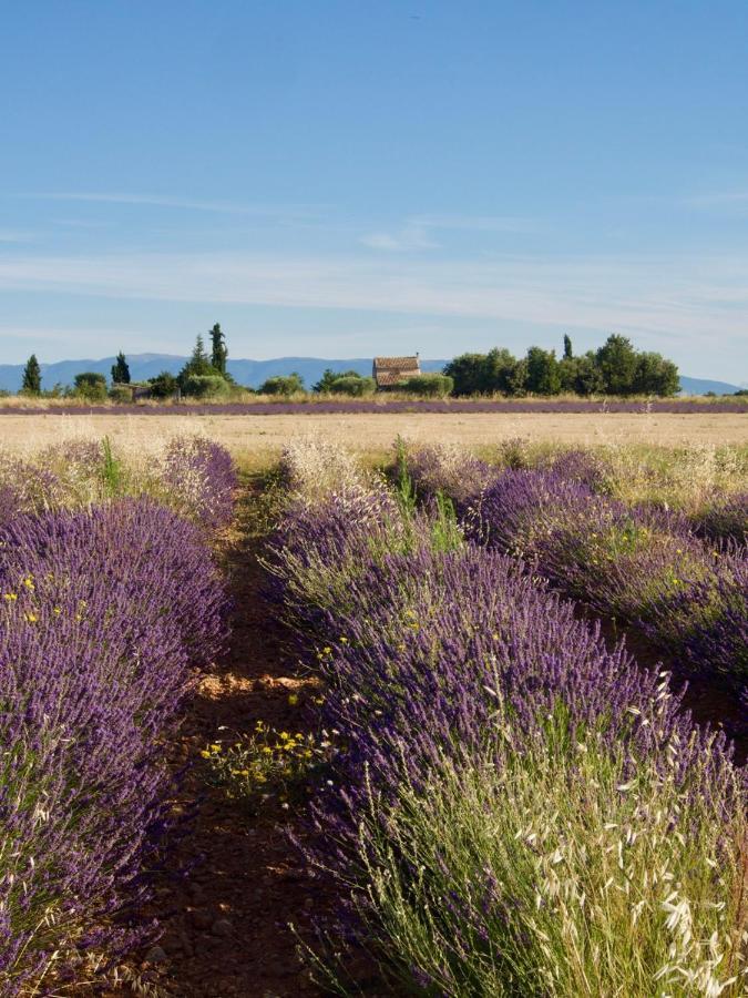 Oasis Tranquille - L'Evasion Au Verdon Gréoux-les-Bains Εξωτερικό φωτογραφία