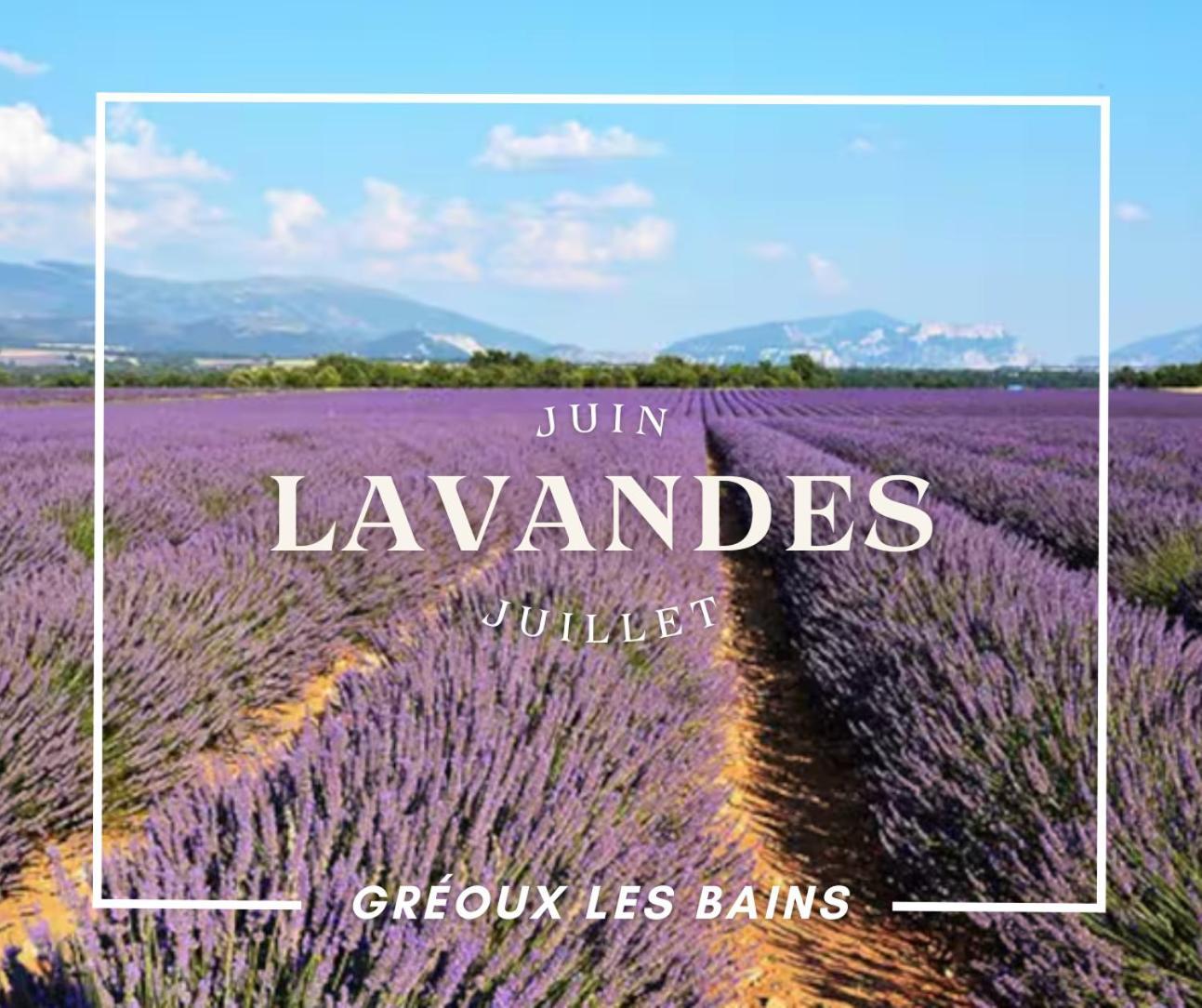 Oasis Tranquille - L'Evasion Au Verdon Gréoux-les-Bains Εξωτερικό φωτογραφία